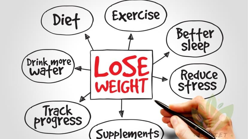 How To Lose Weight Fast