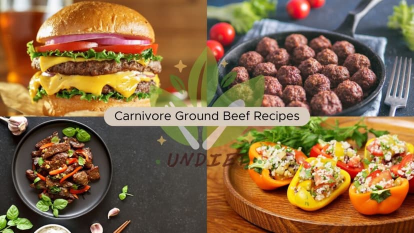 Carnivore Ground Beef Recipes