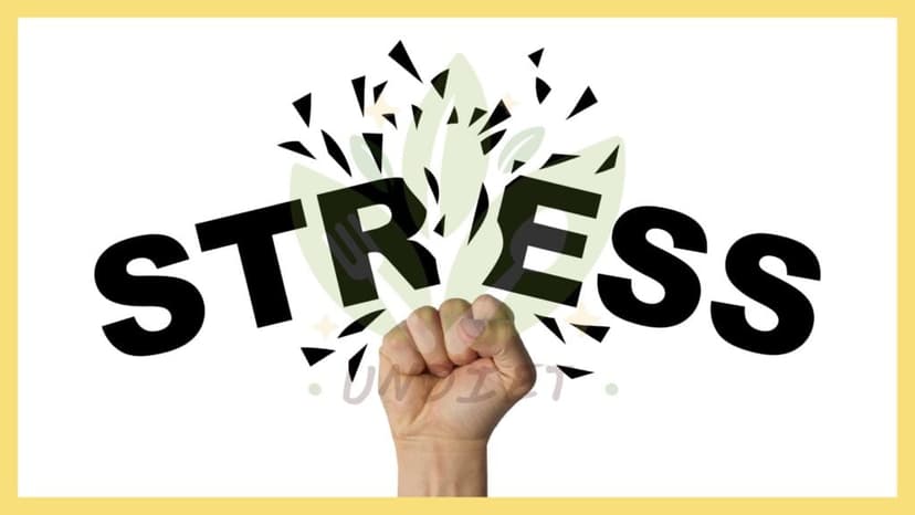Decrease stress