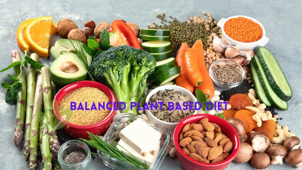 Balanced Plant Based Diet Meal Plan