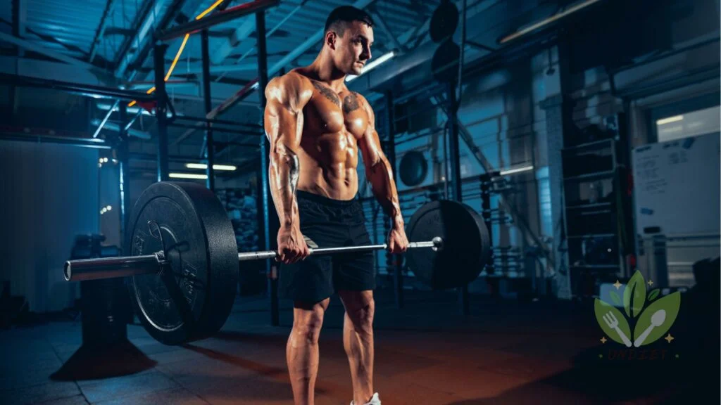 Muscle Gain