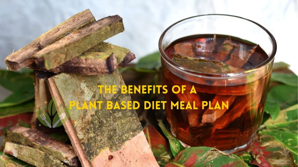 Plant Based Diet Meal Plan